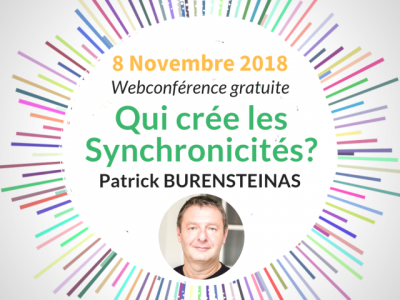 Webconférence de Patrick Burensteinas
